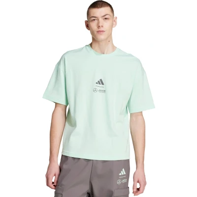 Afbeelding van adidas Originals Motorsport TEAM Mercedes AMG Petronas F1 Tshirt print Frozen green grey strata, Heren, Maat: XL, strata