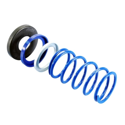 Afbeelding van Drukveer Polini Evo Slider 80kg voor Yamaha T Max 500 530cc 4 Takt