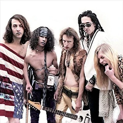 Afbeelding van Dwarves Penetration Moon (LP)