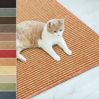Afbeelding van Floordirekt Sisal krabmat, deurmat, tapijt,sisalmat, sterk &amp; verkrijgbaar in vele kleuren en maten (40 x 60 cm, terra)