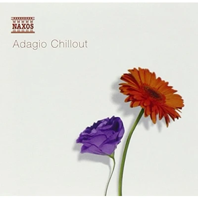 Afbeelding van Various Artists Adagio Chillout (CD)