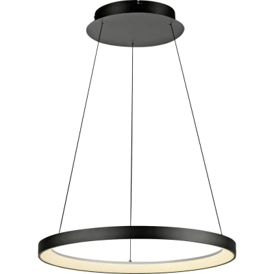 Afbeelding van Paul Neuhaus Ronde hanglamp Hoop zwart 2851 18