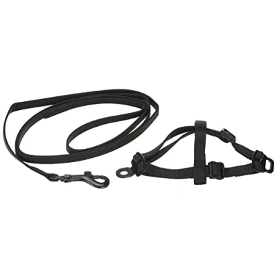 Afbeelding van Nobby Set nylon fretten/ratten zwart