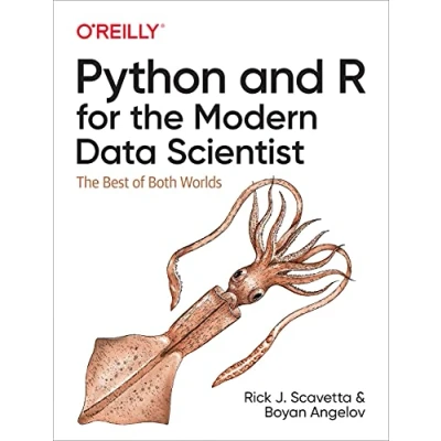 Afbeelding van Python and R for The Modern Data Scientist: Best of Both Worlds
