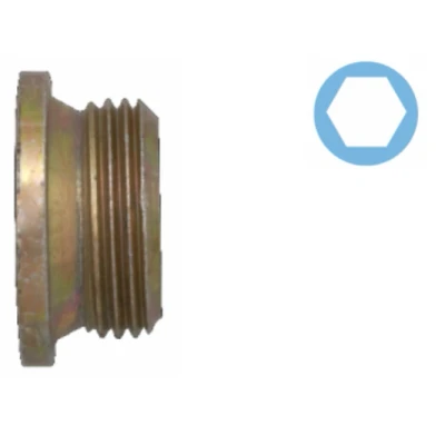 Afbeelding van Corteco Olie aftapplug / carterplug 220133S