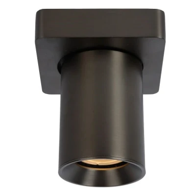 Afbeelding van Lucide Nigel Plafondlamp 1x5W Zwart Staal