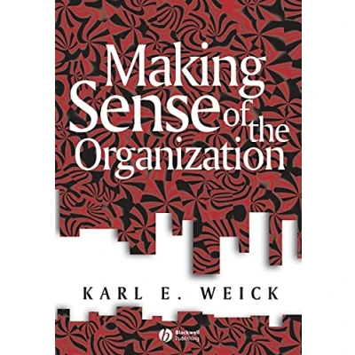 Afbeelding van Making Sense of the Organization: 5