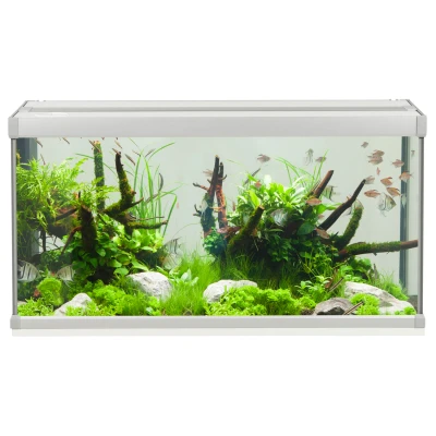 Afbeelding van Akvastabil Family Aquarium Aquaria 80x35x42 cm 112 l Grijs Wit