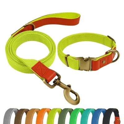 Afbeelding van QRDA Halsband en Leiband Set Fluorescerend Geel Gepersonaliseerde Verstelbare Tactische Riem voor Middelgrote Honden Grote
