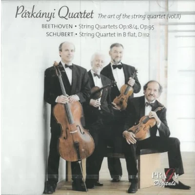 Afbeelding van Parkanyi Quartet The Art Of String II (CD)