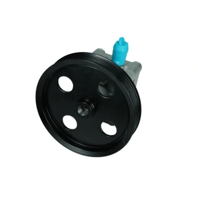 Afbeelding van Servo pomp MAXGEAR 48 0167