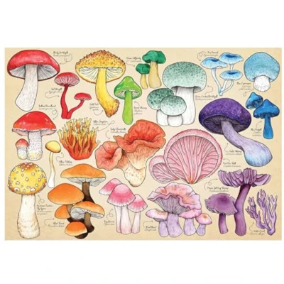 Afbeelding van Mushroom Mania 1000 stukjes Puzzel