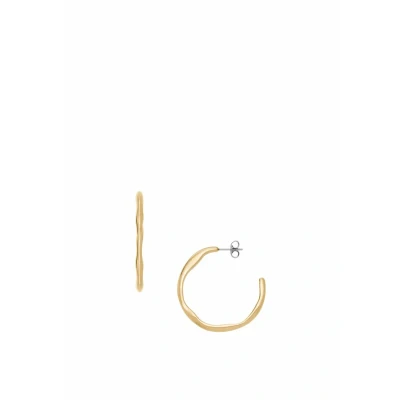 Afbeelding van Skagen Oorbellen goldcoloured, Dames, Maat: One Size, Gold/coloured