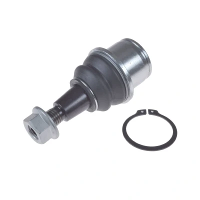 Afbeelding van Blue Print Fuseekogel ADJ138615