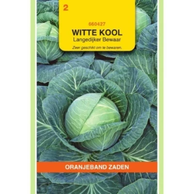 Afbeelding van Witte kool Langedijker Bewaar