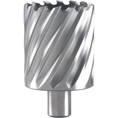 Afbeelding van Hikoki Accessoires Kernboor 14X55 Mm 754503