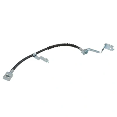 Afbeelding van Delphi Diesel Remslang LH6121