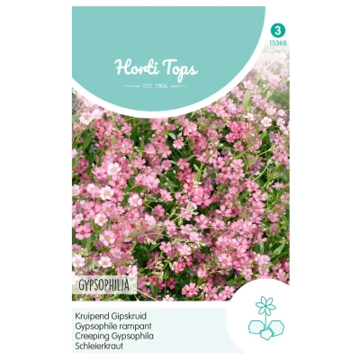 Afbeelding van Gypsophila, kruipend Gipskruid rose