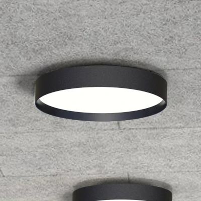 Afbeelding van LOOM DESIGN LED plafondlamp Lucia, zwart, Ø 45 cm aluminium