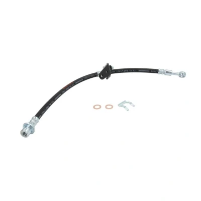 Afbeelding van Delphi Diesel Remslang LH6685