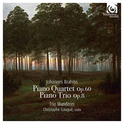 Afbeelding van Trio Wanderer Piano No.1, Quartet No.3 (CD)