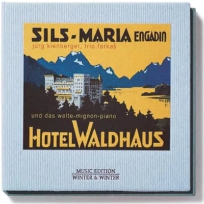 Afbeelding van Hotel Waldhaus Welte Mignon Piano