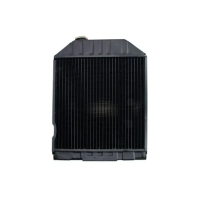 Afbeelding van Thermotec Radiateur D7AG063TT