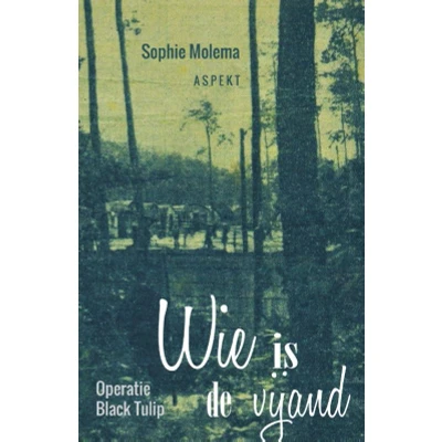 Afbeelding van Wie is de vijand (Paperback)
