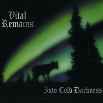 Afbeelding van Vital Remains Into Cold Darkness (LP)