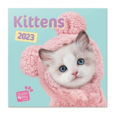 Afbeelding van Grupo Erik CP23060 Kalender 2023 Studio Pets Kittens wandkalender 12 maanden Broschürenkalender 30x30 cm Fsc gecertificeerde +Bonus 4