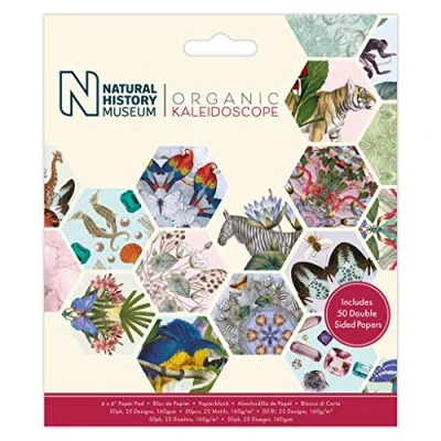 Afbeelding van 6 x 6&quot; Paper Pad (50pk) Kaleidoscope