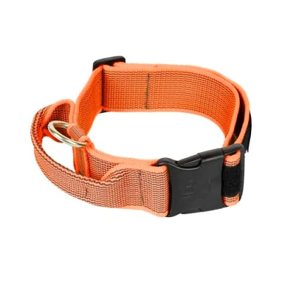 Afbeelding van IDC Color&amp;Gray Halsband met Handvat, Veiligheidsslot en Verwisselbare Labels, 50 mm (49 70 cm), Oranje Grijs