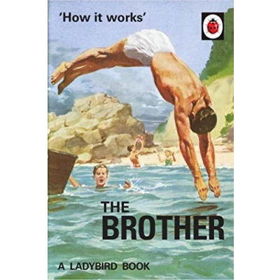 Afbeelding van How It Works: The Brother: (Ladybird For Grown Ups)