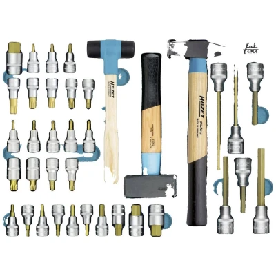Afbeelding van HAZET Dopsleutelbitset 163 534/37 · 37 delig 4? ?22 M5? ?M18 T20 ?T60