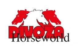 Divoza Logo