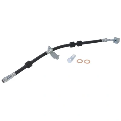 Afbeelding van Delphi Diesel Remslang LH7750