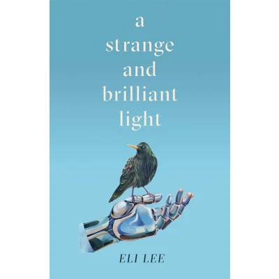 Afbeelding van A Strange and Brilliant Light: Winner of the Writers’ Guild Best First Novel Award