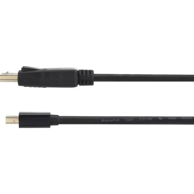 Afbeelding van Renkforce RF 4538172 DisplayPort kabel Mini / Adapterkabel stekker, stekker 1.00 m Zwart Vergulde