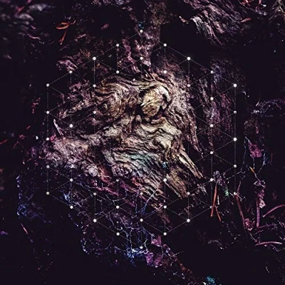 Afbeelding van Psychonaut Unfold the God Man (2 LPs)