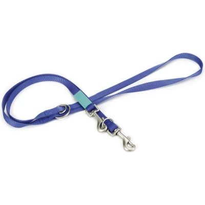 Afbeelding van Beeztees Nylon Dressuurlijn Uni Blauw 200cmx20mm