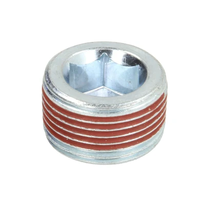 Afbeelding van Elring Olie aftapplug / carterplug 587.100