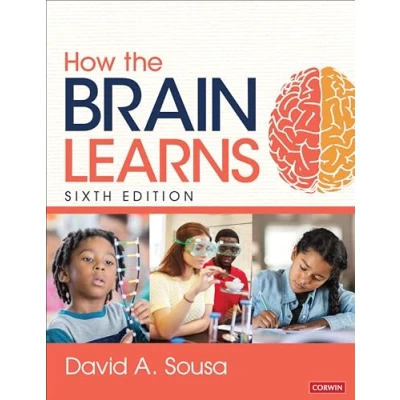 Afbeelding van How the Brain Learns