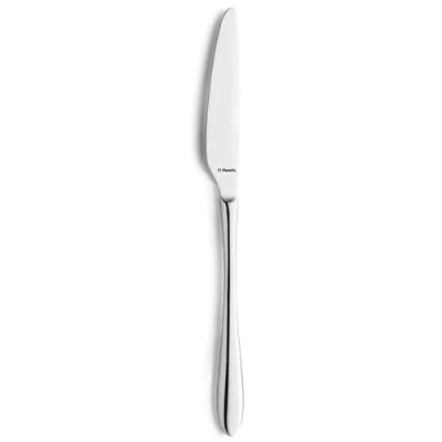 Afbeelding van Messen Set Amefa Cuba Metaal 24,2 cm 12 Stuks