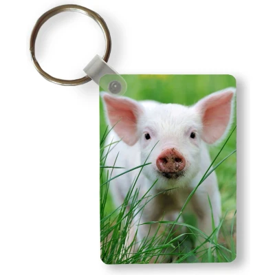 Afbeelding van Sleutelhanger Varken Dieren Big Uitdeelcadeautjes Plastic
