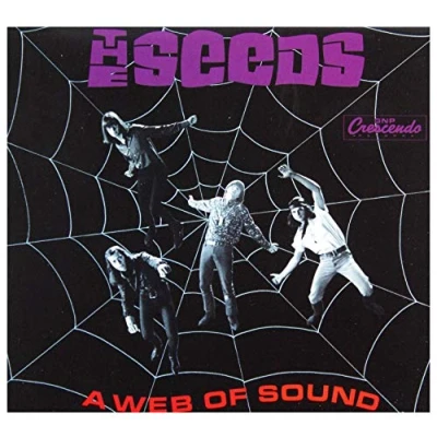 Afbeelding van A Web Of Sound
