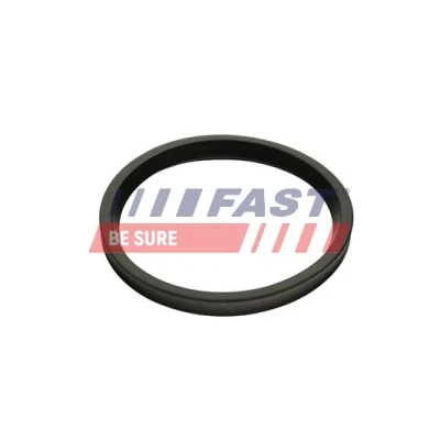 Afbeelding van FAST FT48947 Dichtring, laadluchtslang RENAULT: MASTER 3 Kasten