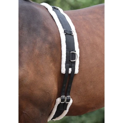 Afbeelding van Shires Nylon Longeersingel met Fleece Voering Black Full