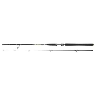 Afbeelding van Penn Wrath II Zeevis Spinhengel 2.74m (20 60g)