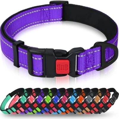 Afbeelding van Taglory Reflecterende nylon hondenhalsband met veiligheidsgesp, verstelbare halsband, zachte neopreen voering, voor middelgrote honden, paars
