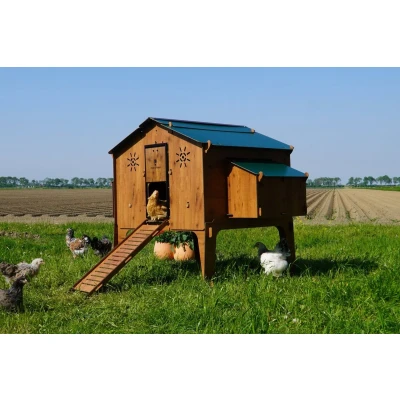 Afbeelding van Generic Polly Duplex 4XL Wood Color kippenhok van laminaat HPL mijtdicht voor 15/20 kippenholten